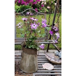 Urtepotte, meleret zink m. plastikindsats i 2 strrelser